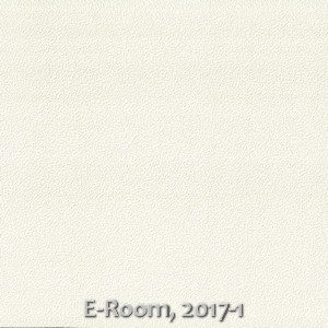 E-Room, 2017-1