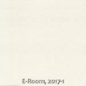 E-Room, 2017-1