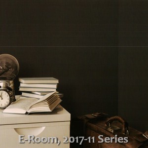 E-Room, 2017-11 Series