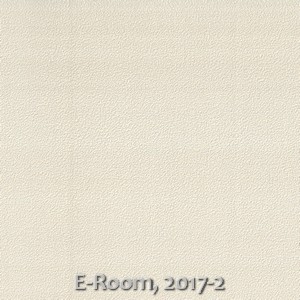 E-Room, 2017-2