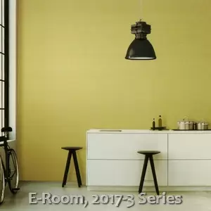 E-Room, 2017-3 Series