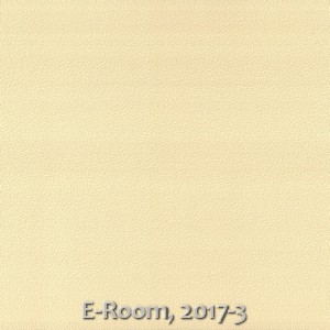 E-Room, 2017-3