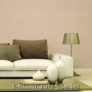 E-Room, 2017-5 Series