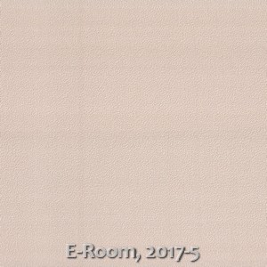 E-Room, 2017-5