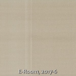 E-Room, 2017-6