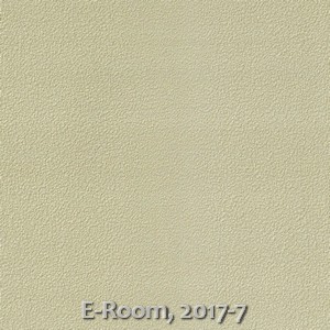 E-Room, 2017-7