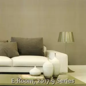 E-Room, 2017-9 Series