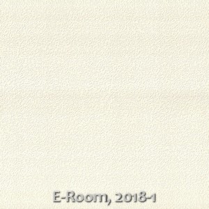 E-Room, 2018-1
