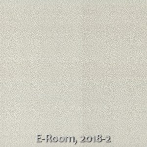 E-Room, 2018-2