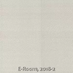 E-Room, 2018-2