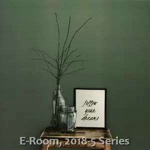 E-Room, 2018-5 Series