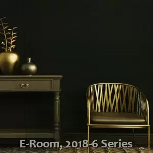 E-Room, 2018-6 Series