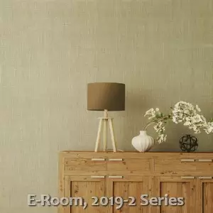 E-Room, 2019-2 Series