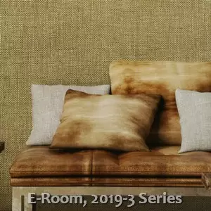 E-Room, 2019-3 Series