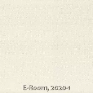 E-Room, 2020-1