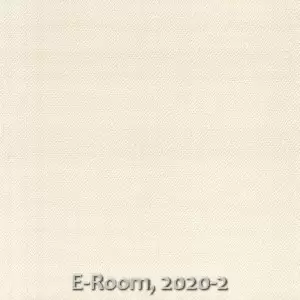 E-Room, 2020-2