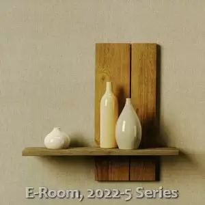 E-Room, 2022-5 Series