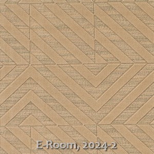 E-Room, 2024-2