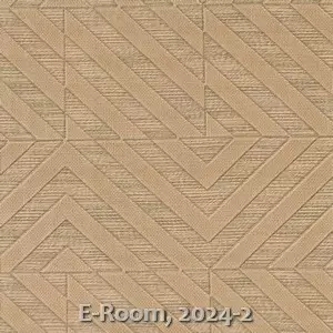 E-Room, 2024-2