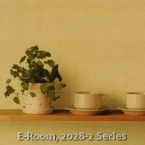 E-Room, 2028-2 Series