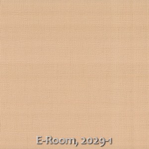 E-Room, 2029-1