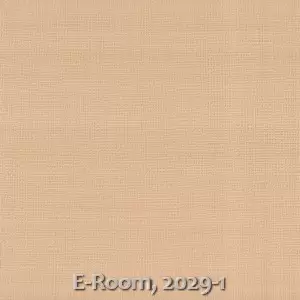 E-Room, 2029-1