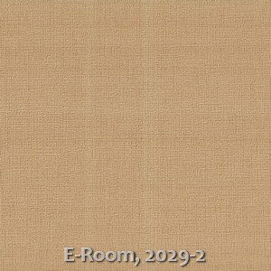 E-Room, 2029-2