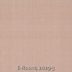 E-Room, 2029-3