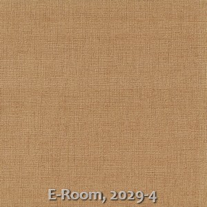 E-Room, 2029-4