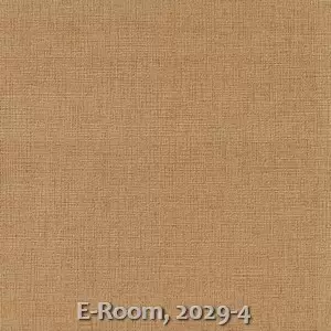 E-Room, 2029-4