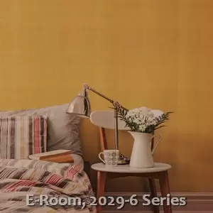 E-Room, 2029-6 Series