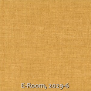 E-Room, 2029-6