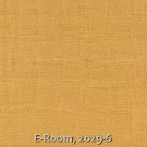 E-Room, 2029-6