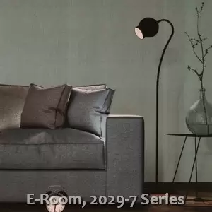 E-Room, 2029-7 Series