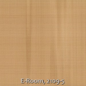 E-Room, 2109-5