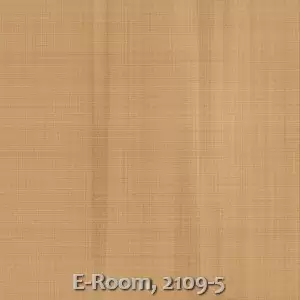 E-Room, 2109-5