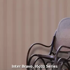 Inter Bravo, 16022 Series