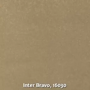 Inter Bravo, 16030