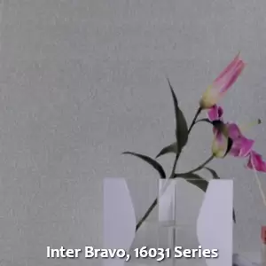 Inter Bravo, 16031 Series