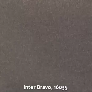 Inter Bravo, 16035