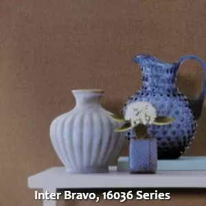 Inter Bravo, 16036 Series