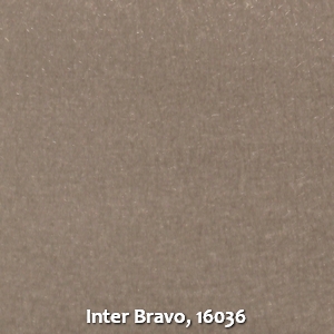 Inter Bravo, 16036