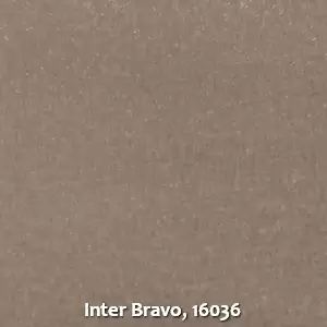 Inter Bravo, 16036