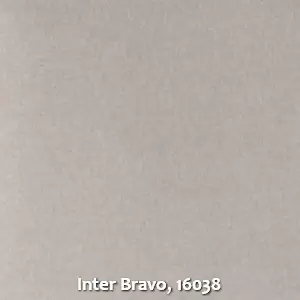 Inter Bravo, 16038