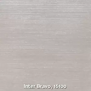 Inter Bravo, 16100