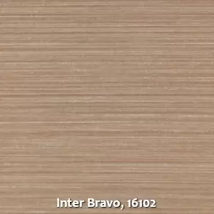 Inter Bravo, 16102