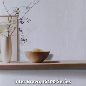 Inter Bravo, 16200 Series