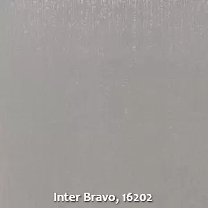 Inter Bravo, 16202