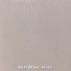 Inter Bravo, 16203