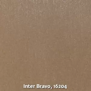 Inter Bravo, 16204